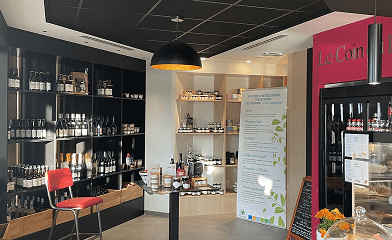 VTC Cab Alternative Taxi Ambilly