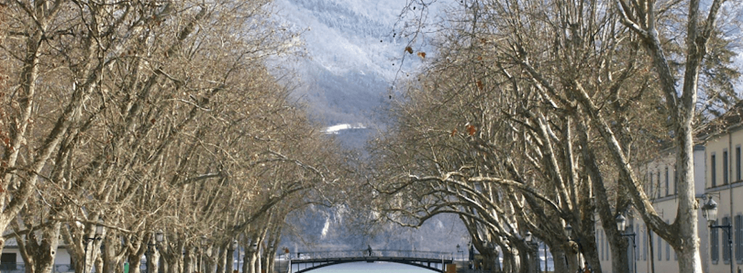 VTC Alternative Taxi  Annecy