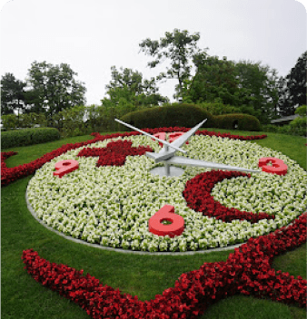The Flower Clock