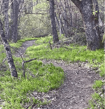 Downhills Petit Salève