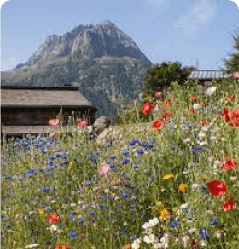 Centre de Loisirs de la Bergue