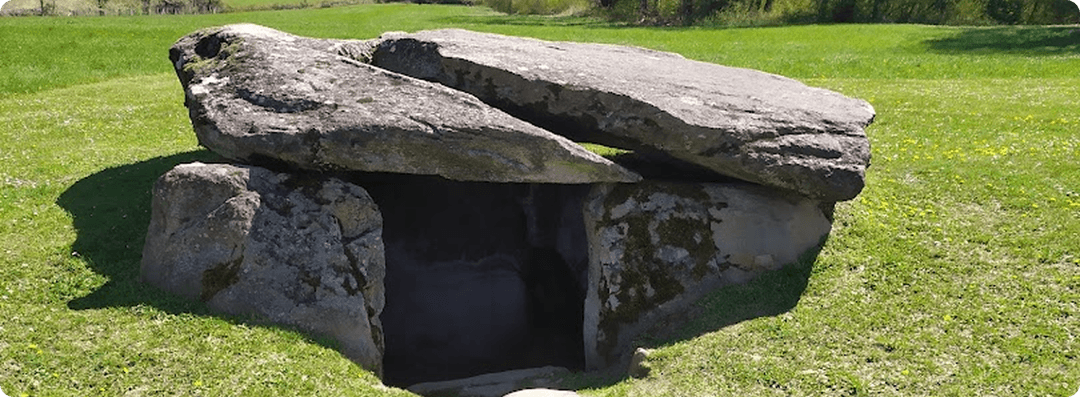 VTC Alternative Taxi Cranves Sales