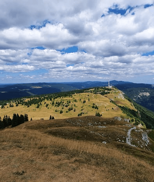 VTC Alternative Taxi Echenevex