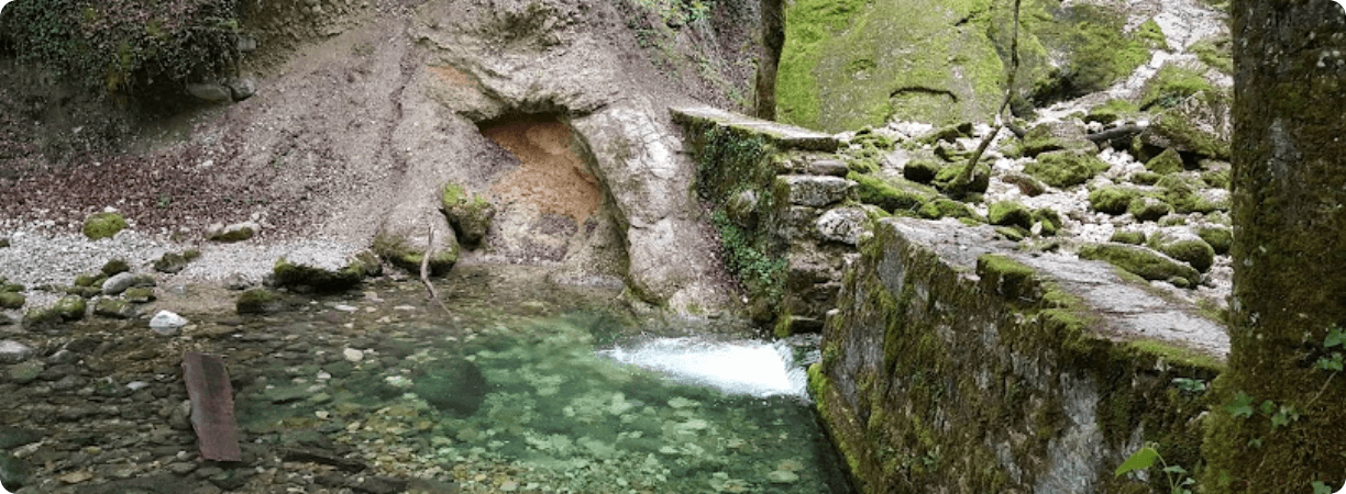 VTC Alternative Taxi Echenevex