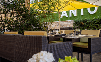 ANTONS