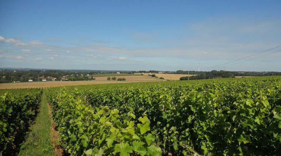 Domaine de Villargeau