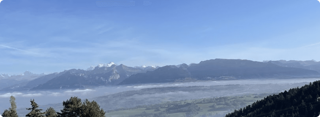 VTC Cab Alternative Taxi Saint-Julien-en-Genevois