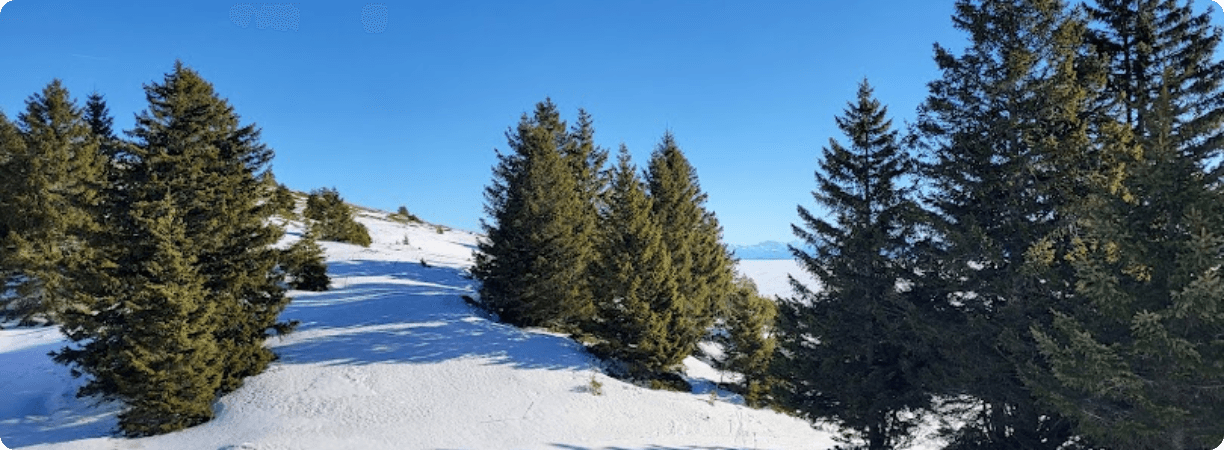 VTC Alternative Taxi  Sergy