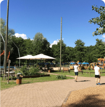 Forest Land 
