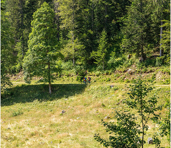 Monvtt.ch